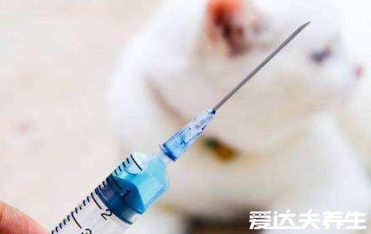 狗咬了多久过安全期，三个月以上能过但因及时注射疫苗