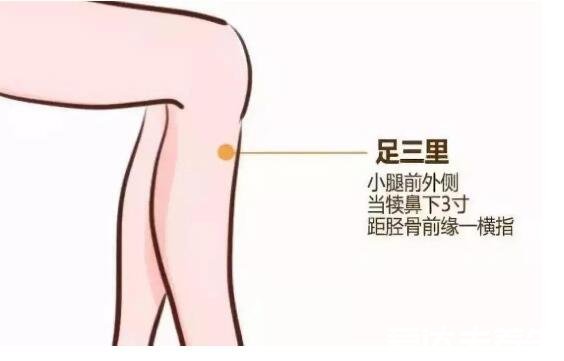 足三里的准确位置图片及其功效，在膝盖凹陷下三寸处可缓解胃痛