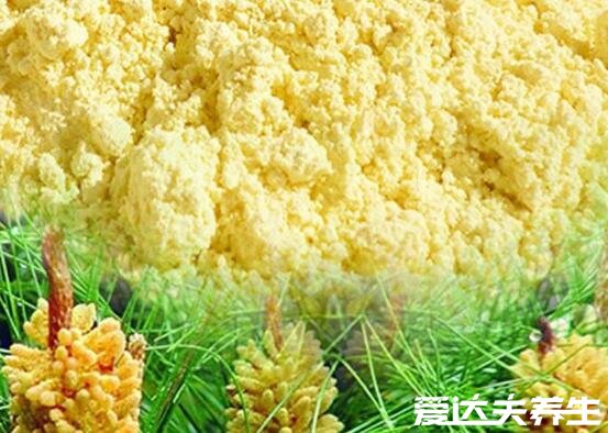 松花粉的功效与作用及食用方法，直接吃可美容养颜/改善肠道