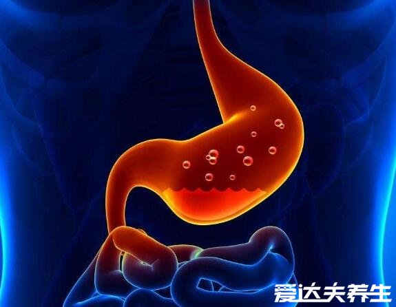 胃在什么位置图片，胃在左肋骨下及腹部中上区域