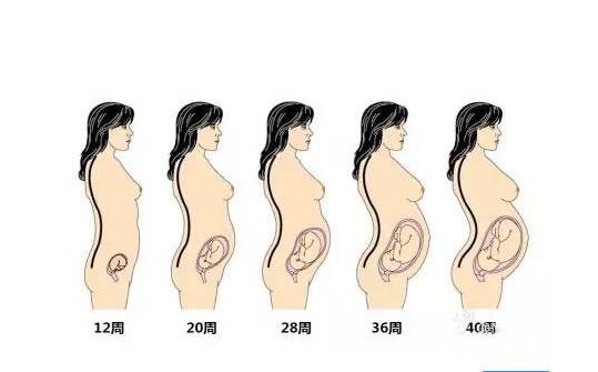 8个征兆说明你怀孕了，除月经大家还要注意身体乳房/体温等变化