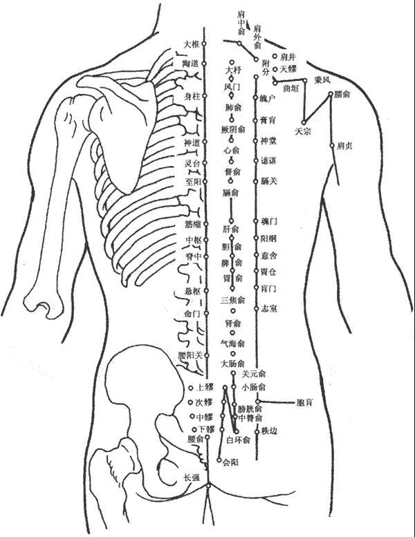 超详细人体背部穴位图解,常用的几个背部保健穴位一定