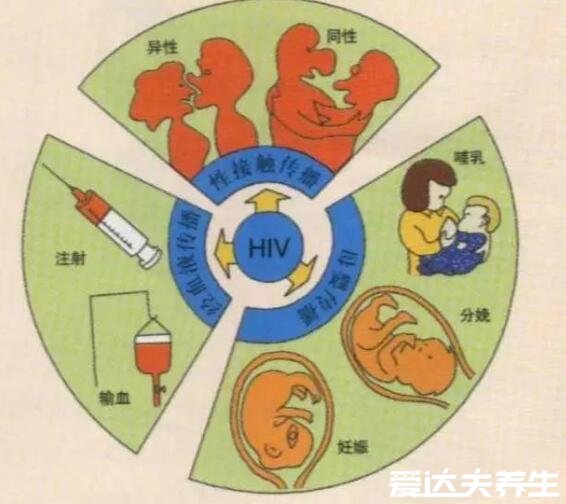 不用去医院一招判断艾滋病的方法，使用HIV检测试纸最科学准确