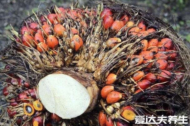 棕榈油的危害，不仅长胖还危害心血管和大脑的健康