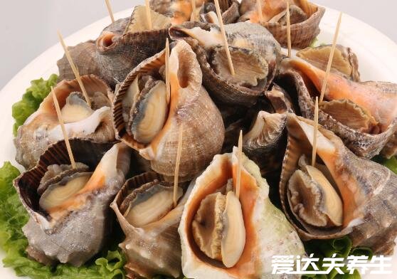 海螺煮多长时间及哪里不能吃，煮十分钟以上肉质鲜嫩好吃