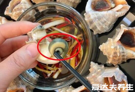 海螺煮多长时间最合适及不能吃的部位解析图(煮十分钟最佳)