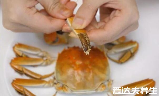 河蟹怎么吃的详细步骤，河蟹不能和什么一起吃(4大食物)