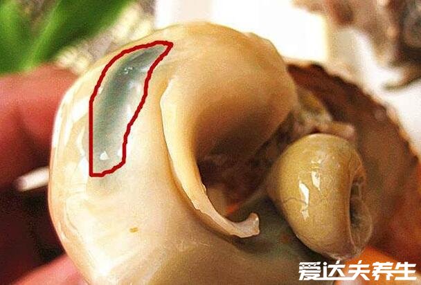 海螺煮多久哪里不能吃，10-15分钟/4个部位不能吃