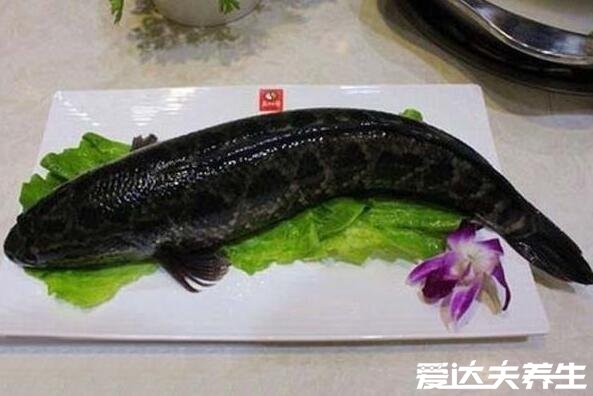 酸菜鱼用什么鱼最好吃，草鱼/黑鱼是最佳选择(附酸菜鱼步骤图解)