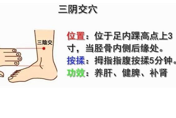 三阴交的位置图片，位于足内踝尖上3寸处可治疗妇科疾病