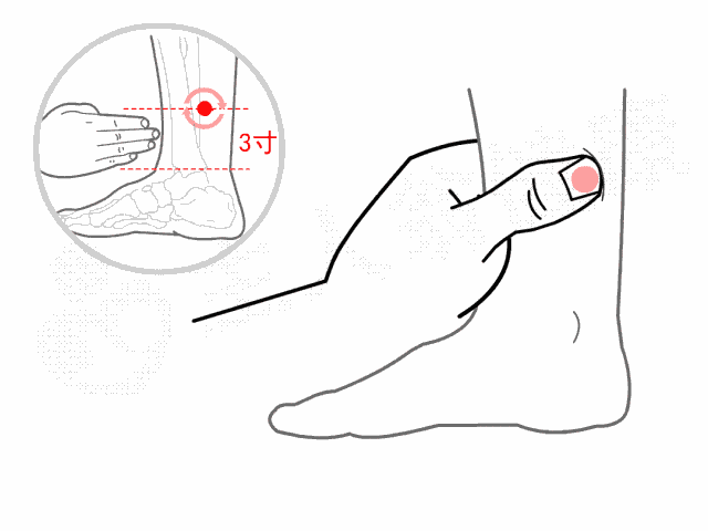 三阴焦位置图和作用，点按小腿内侧内踝尖上三寸有4大功效