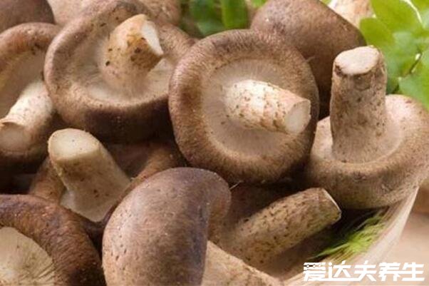 花菇和香菇的区别，花菇是香菇的变种食用价值更高