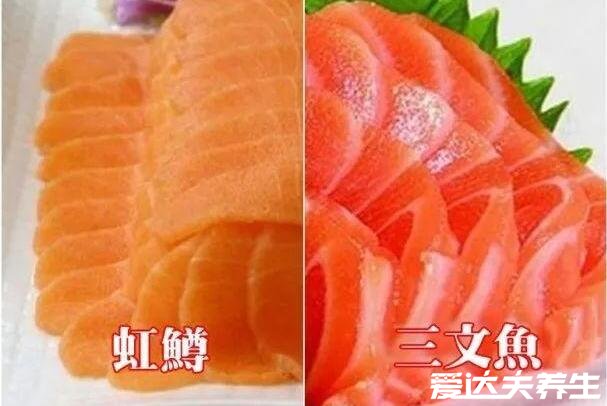 虹鳟鱼和三文鱼的区别，肉质口感/外观/价格有很大区别