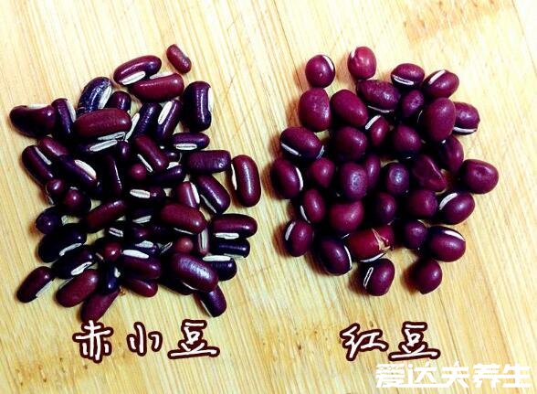 红豆与赤小豆的区别，红豆矮胖食用为主/赤小豆瘦长药用为主