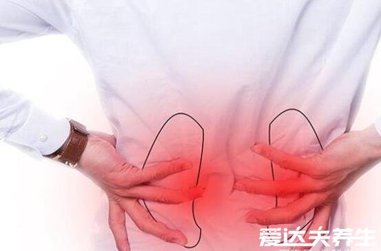 身体各个器官疼痛位置图片，原来左上腹疼痛可能是胆出了问题
