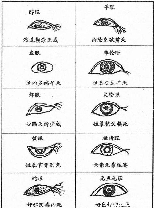 二十种眼形大全图解，杏眼/丹凤眼/桃花眼为最好看三种眼性