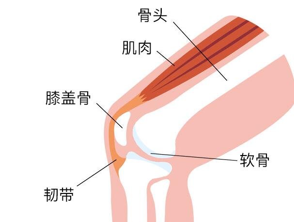 膝盖各个部位疼痛图解，不同位置疼痛代表不同疾病(两侧疼最严重)