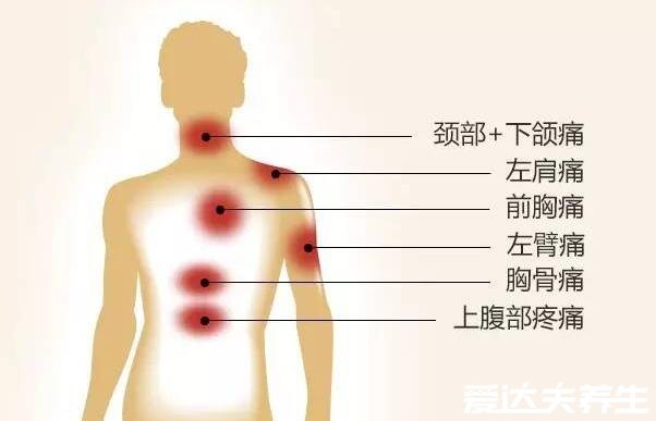 慢性胆囊炎后背疼的位置图片，发作时右背部或右肩部疼