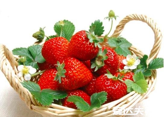 最适合孕妇吃的6种水果，除了草莓还有这五种好吃有健康