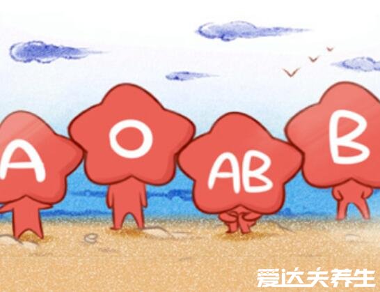 4个血型哪个血型最好，ab血型万能受血者可接受所有血型