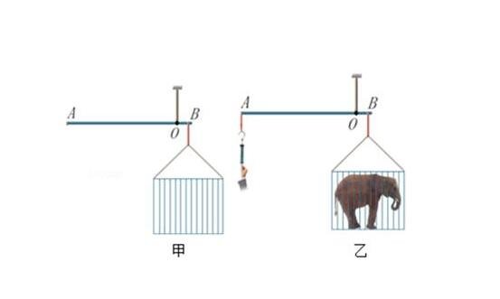 称大象的方法(5种)，除了曹冲称象的方法还有这四种