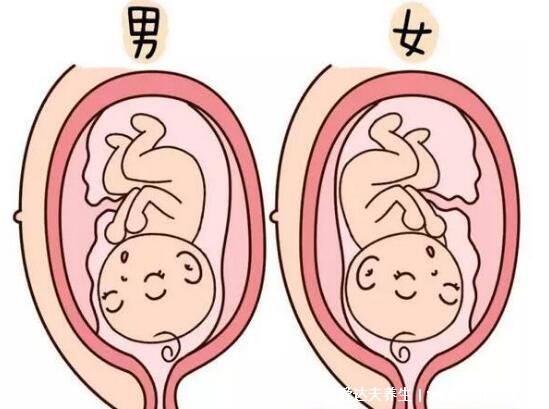 受孕生男孩的三个最佳时间点，8-9月份Y精子最强生男孩几率更高