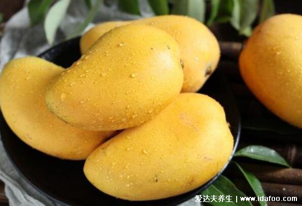 芒果的功效与作用禁忌，美容养颜防治多种疾病(4大禁忌)