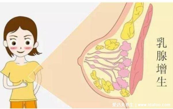 乳腺增生禁忌五种食物，千万不要吃含丰富雌激素的食物