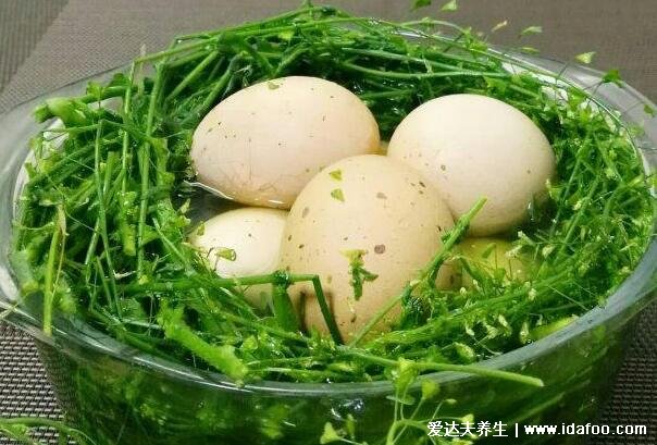 三月三吃荠菜煮鸡蛋的由来，吃荠菜的禁忌与功效
