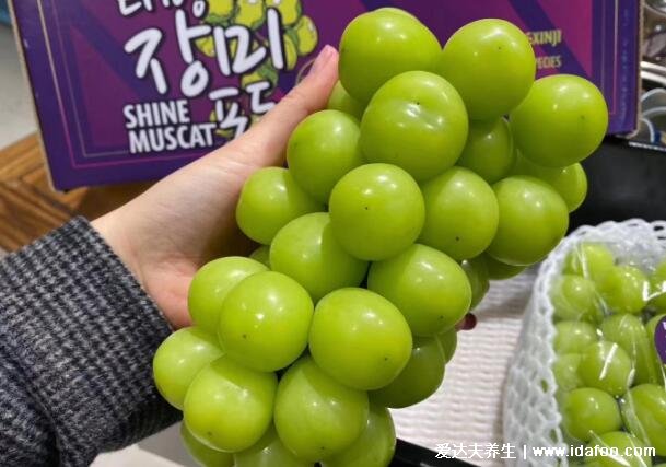晴王葡萄为什么这么贵一斤多少钱，300元一斤日本特产葡萄