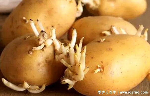 土豆怎么保存不发绿不长牙，三种方法可以保存几个月不坏