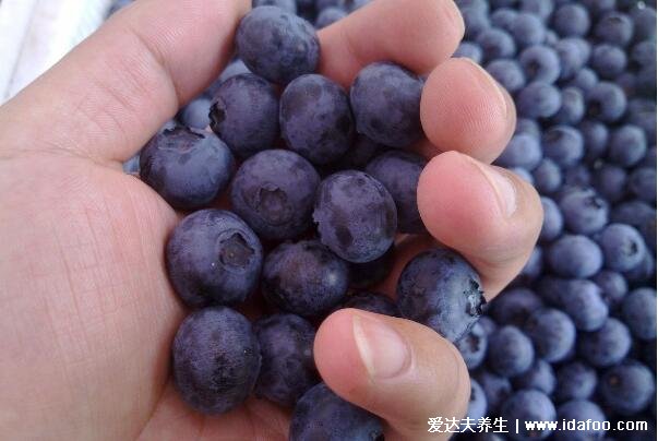蓝莓一天吃多少为宜，蓝莓怎么吃最好吃有营养(10-20颗)