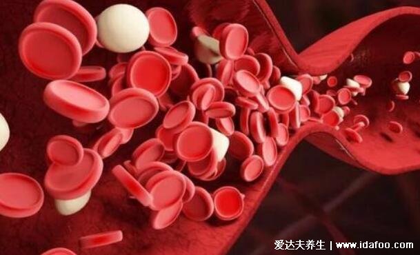 p型血是什么血型，全世界多少人有(比熊猫血更珍贵的四大血型)