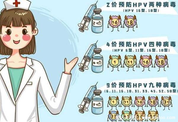 九价疫苗是干什么的，hpv疫苗适合人群(16-26岁的女性)