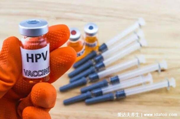 hpv疫苗二价四价九价区别图，根据年龄和价格选择合适的疫苗