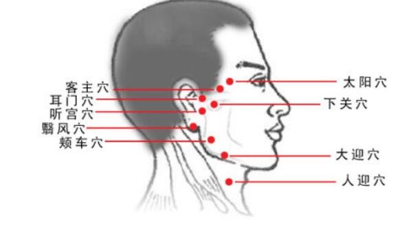 人体九条头部经络图解大全，按摩这些头部经络和穴位能改善头疼