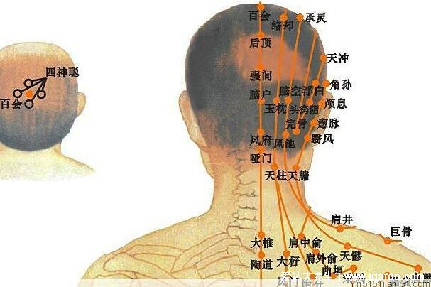 人体九条头部经络图解大全，按摩这些头部经络和穴位能改善头疼