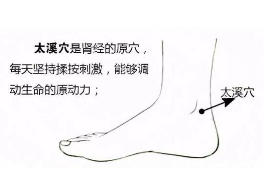太溪的准确位置图和作用，位于脚踝后方可补肾壮阳治早泄阳痿