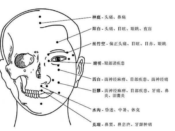 人体面部穴位图及功效作用，常按脸部16个穴位可美容瘦脸