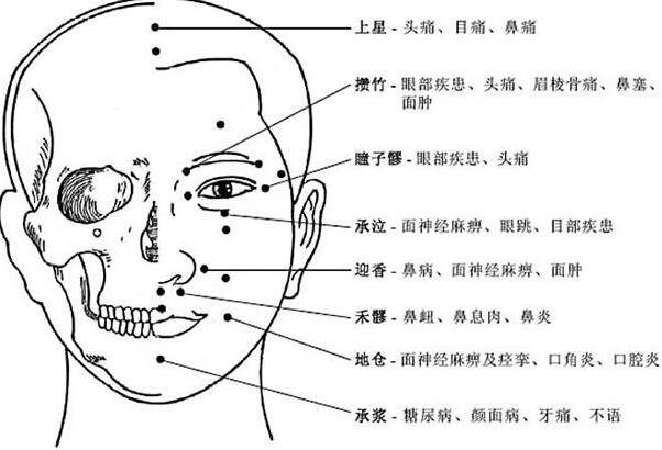人体面部穴位图及功效作用，常按脸部16个穴位可美容瘦脸