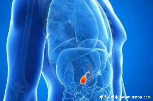 胆囊炎症状疼痛位置图，右上腹右腰疼靠近肝脏区千万别误诊了