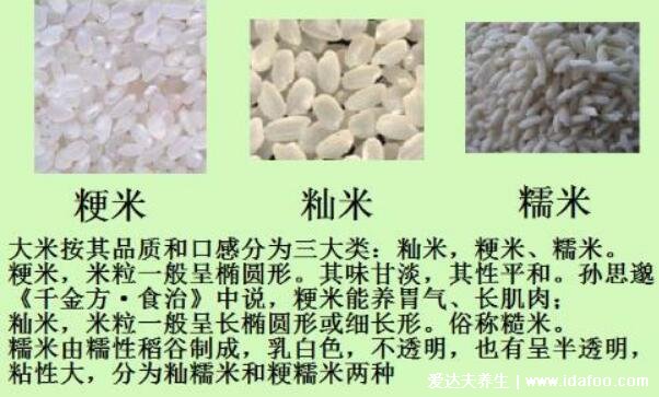 粳米和大米的区别，粳米属于大米吃起来更有嚼劲(附功效作用)