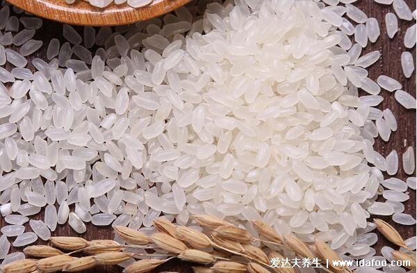 粳米和大米的区别，粳米属于大米吃起来更有嚼劲(附功效作用)