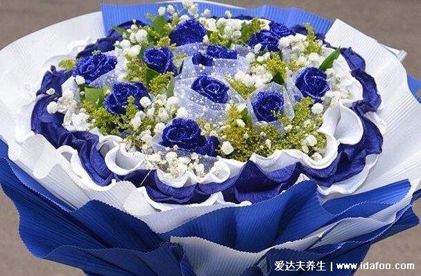 蓝色妖姬的花语是什么意思，不同数量的花朵代表什么含义(清纯的爱)