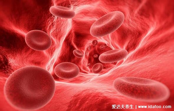 b型血为什么叫贵族血，最健康免疫系统最强的血型(智商高反应快)