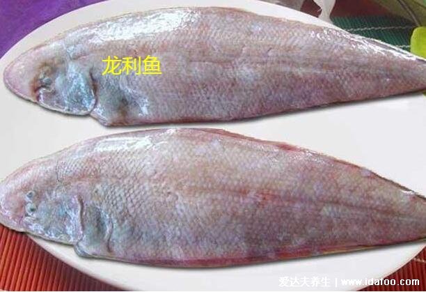 巴沙鱼片和龙利鱼片是同一种鱼吗，巴沙鱼和龙利鱼的4大区别