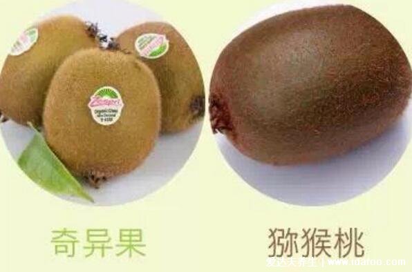 奇异果和猕猴桃是同一种水果吗，是的猕猴桃国产/奇异果新西兰进口