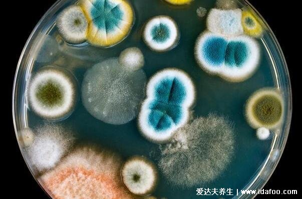 印度爆发的毛霉菌感染症状图片，三种常见类型死亡率高达50％