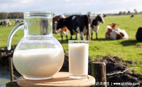 生牛乳是什么意思和纯牛奶有什么区别，生牛乳的功效作用有哪些