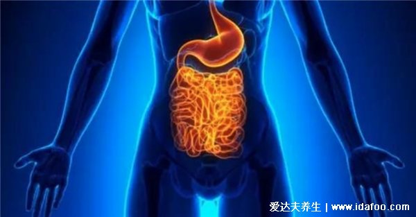 健康从“肠”计议：树兰（杭州）医院举行肠内营养沙龙活动